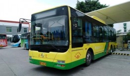 莆田公交车爆料最新消息,事故频发，安全隐患引关注